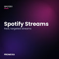 Spotify Streams